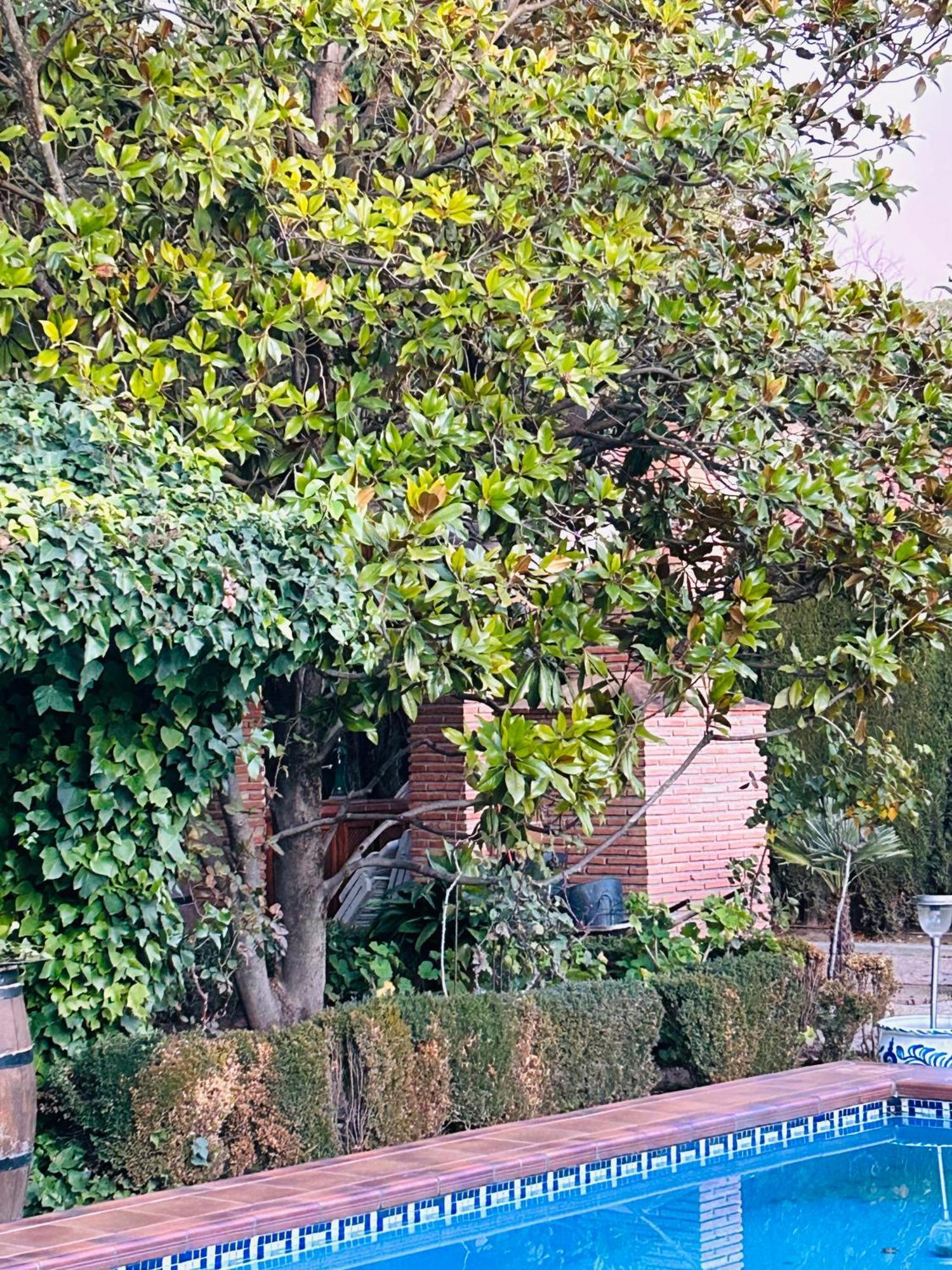 Casa Los Rosales Alfacar Esterno foto