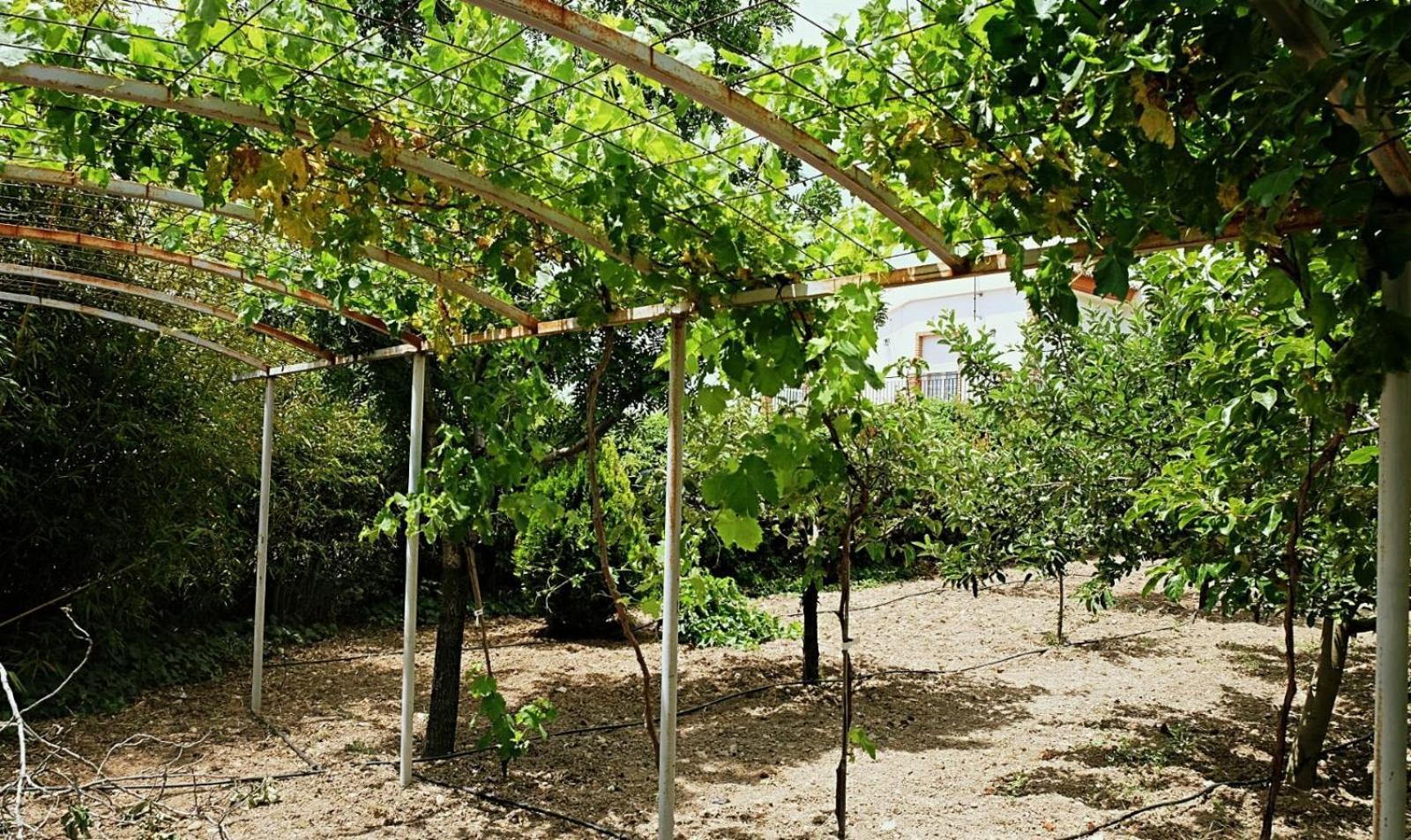 Casa Los Rosales Alfacar Esterno foto