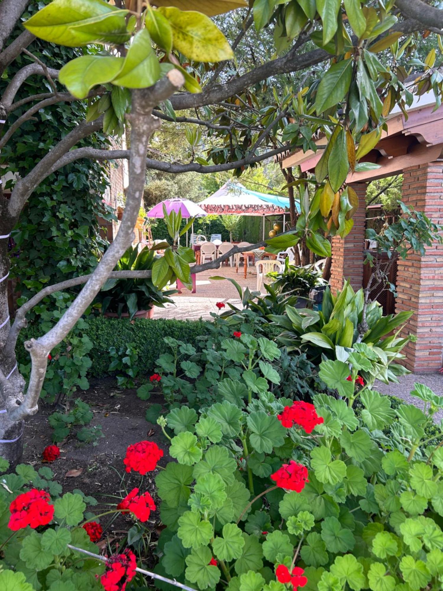 Casa Los Rosales Alfacar Esterno foto